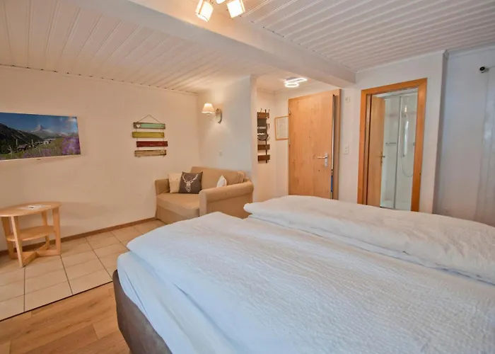 Aeschhorn 公寓 采尔马特